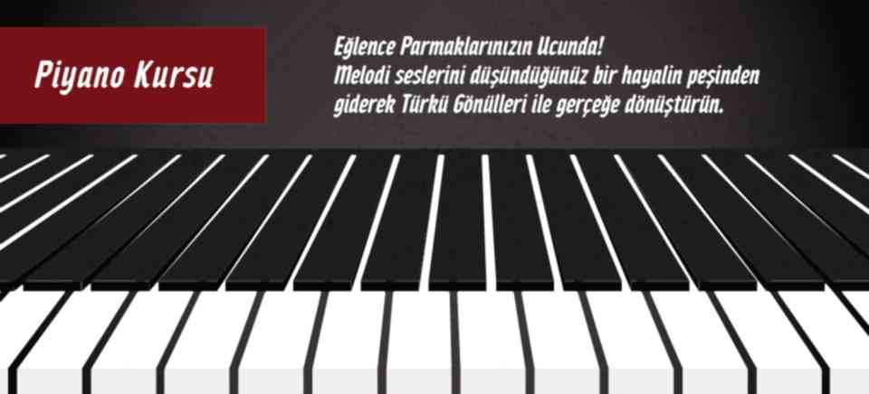 Türkü Gönüllüleri